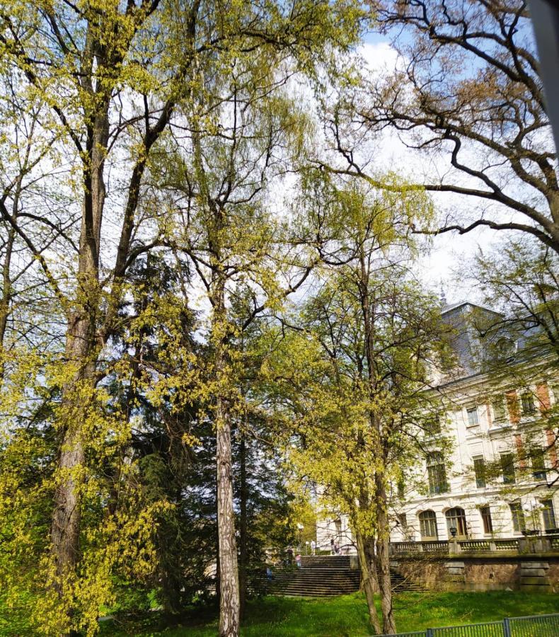 Apartament Przy Zamku Pszczyna Eksteriør billede